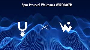 WizoLayer团队实战手册：躺赢空投的终极指南-asfk