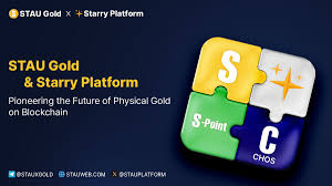 STAU Platform 空投参与全流程新手指南-asfk