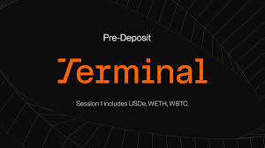Terminal Finance 空投操作指南 | Roots积分获取与多重加成全流程