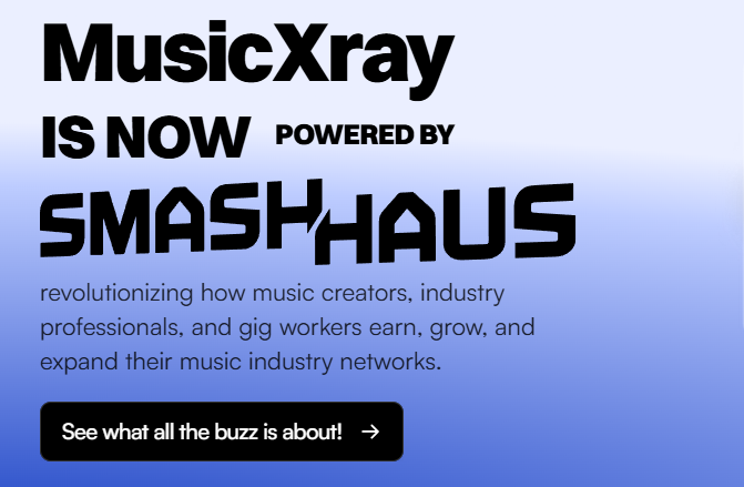 团队操作MusicXray时，如何安全高效地管理多个PayPal账户？-asfk
